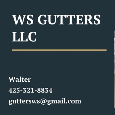 Avatar for WS GUTTERS LLC