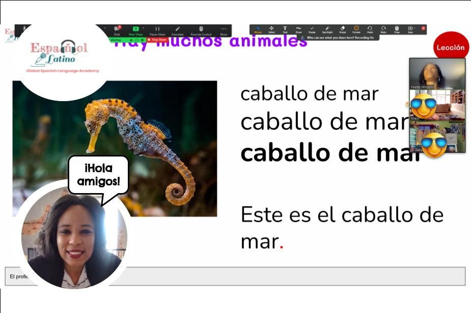Projects and media