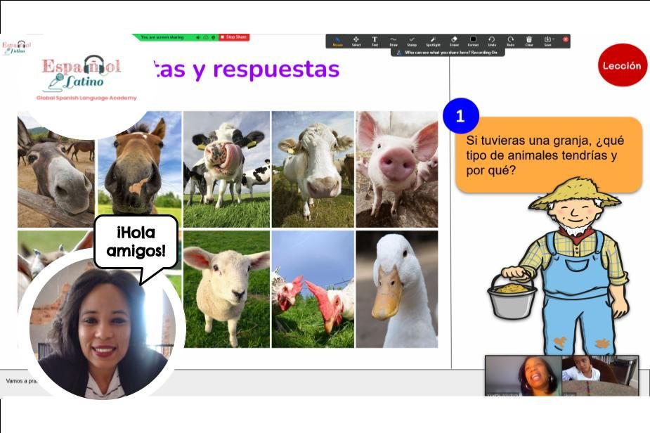 Projects and media