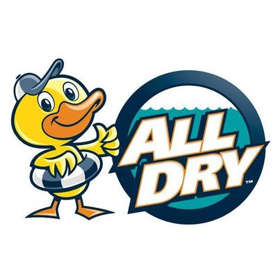 Avatar for All Dry Services of Broward & Doral