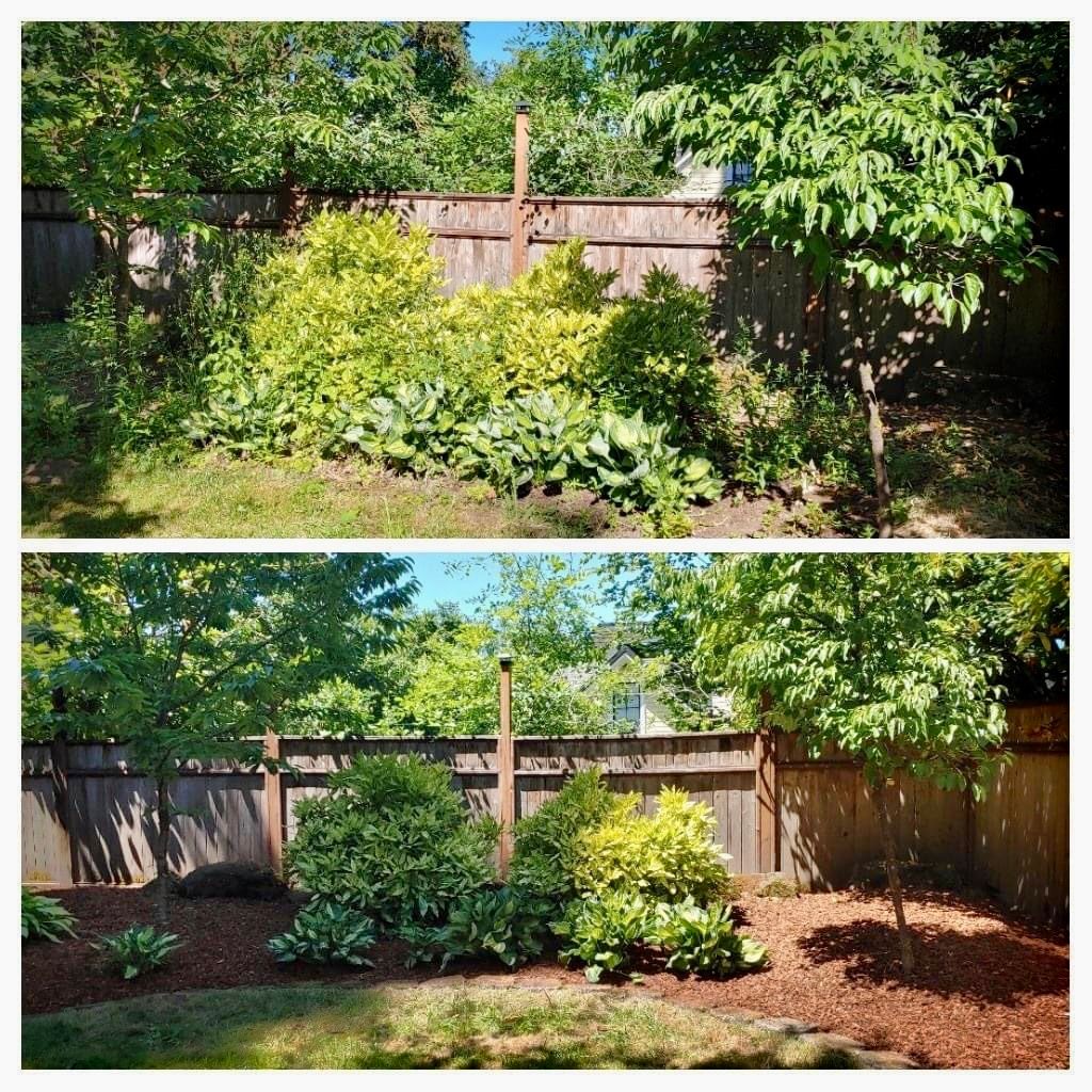 Clean up and mulch Instillation 