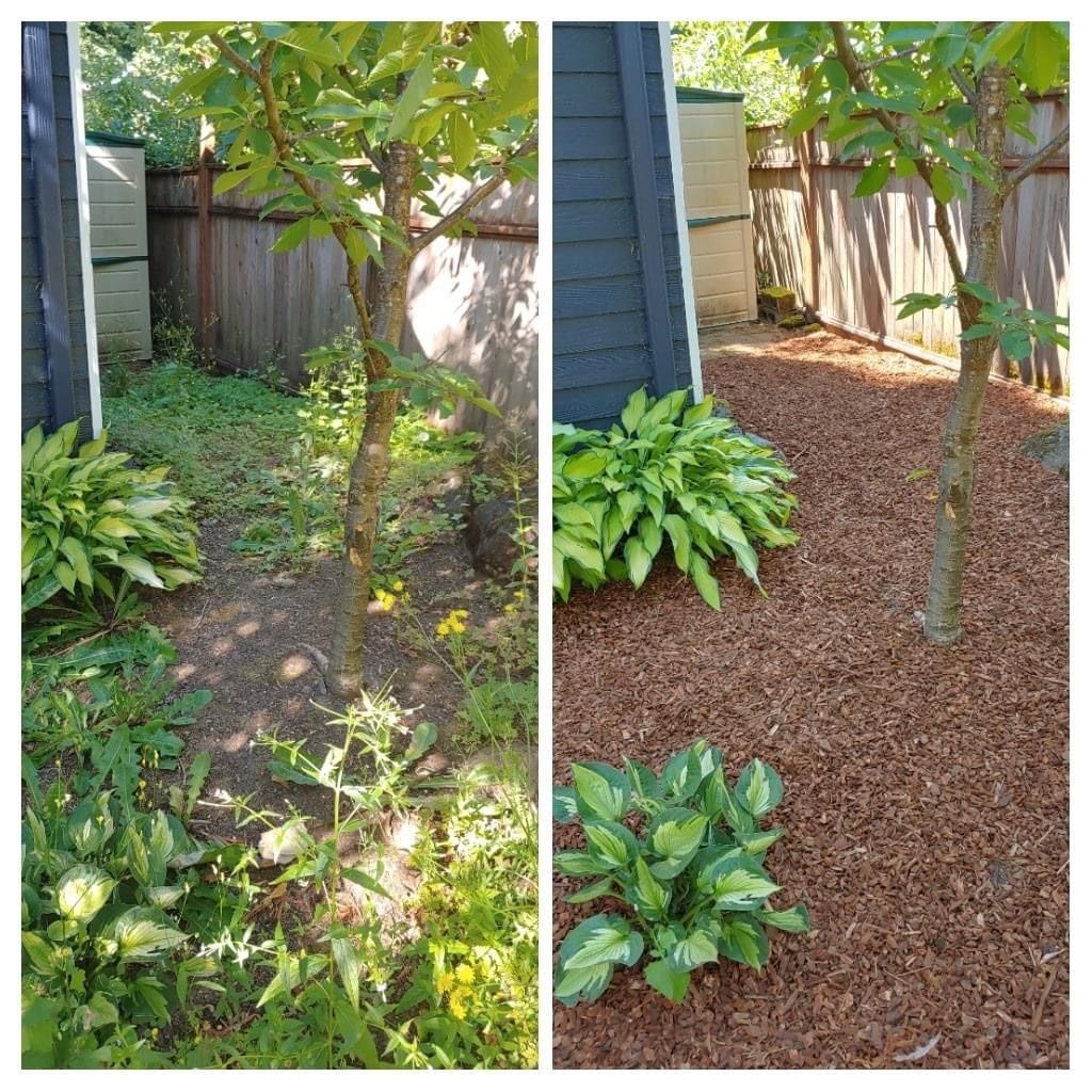 Clean up and mulch Instillation 