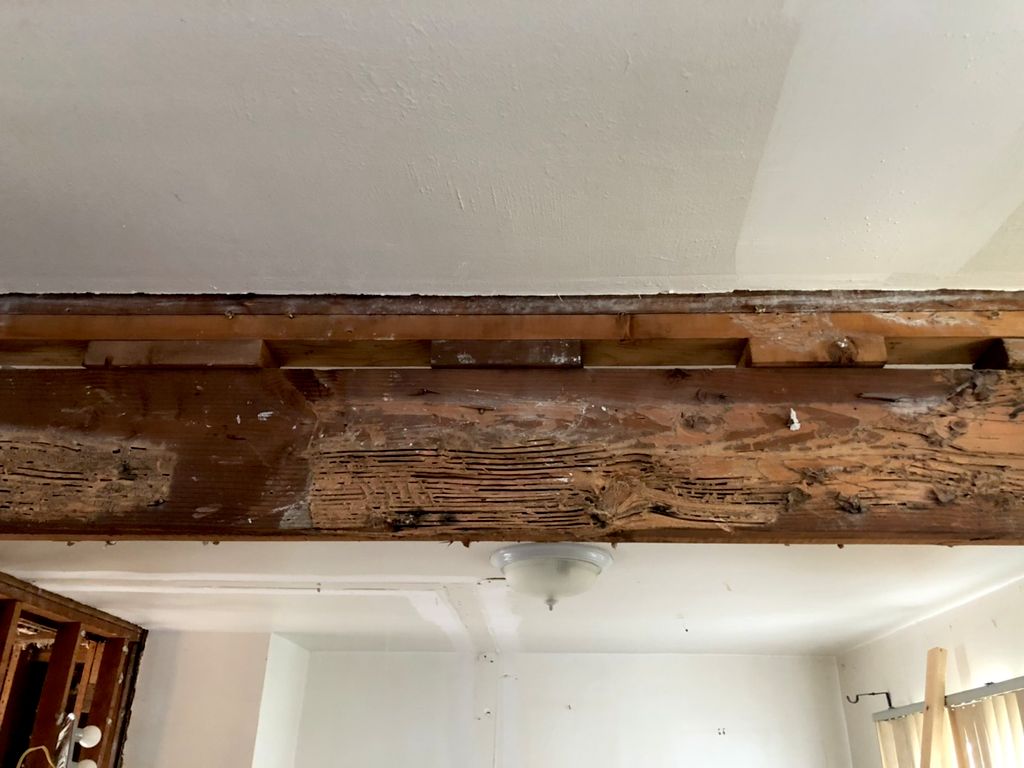 Termite damage to an interior support beam 