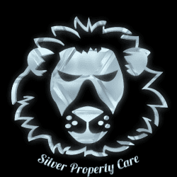Avatar for Silver Property Care LLC.