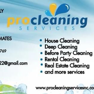 Pro cleaning services