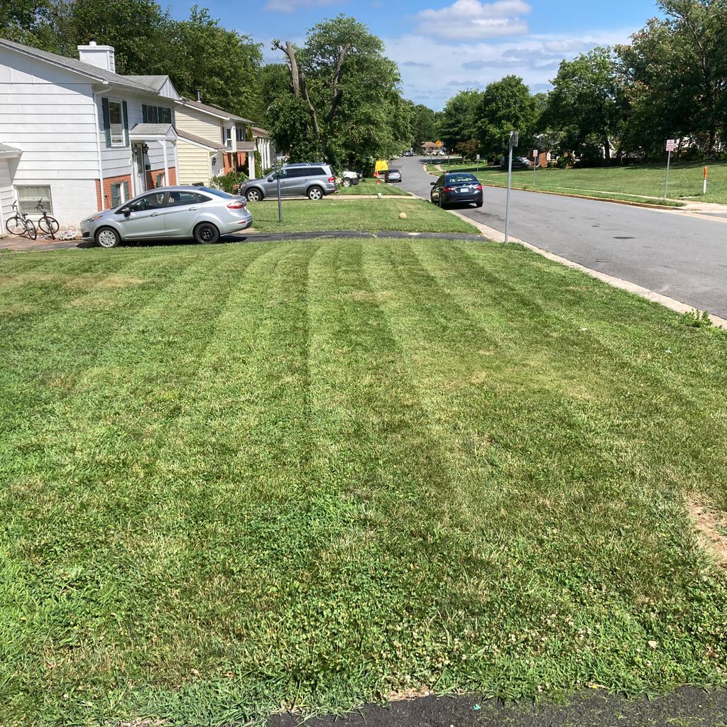 Josue lawn and landscaping services