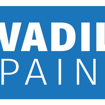 Avatar for Vadillo’s Painting