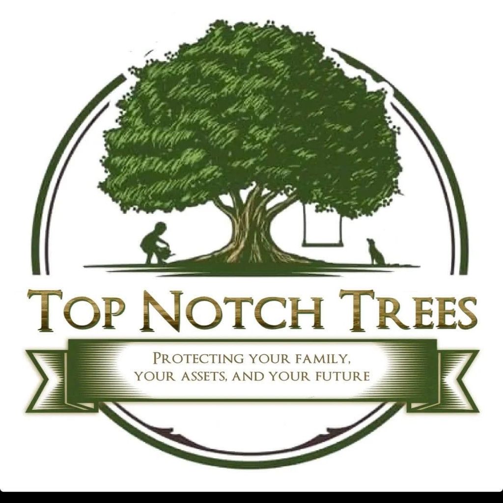 Top Notch Trees