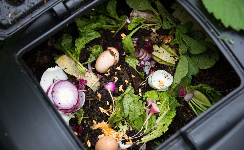compost to reduce waste