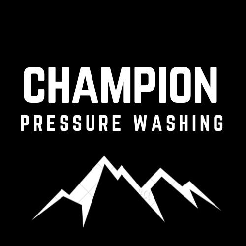 Champion pressure & windows