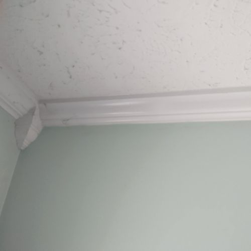 CC did a great job on putting up my moulding.  The