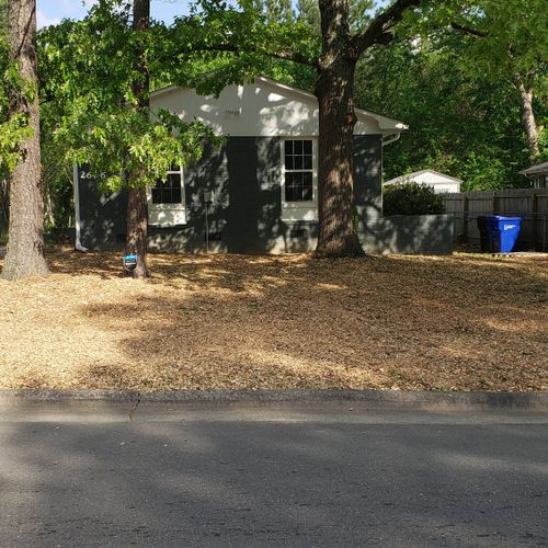 They did a fantastic job mulching my front lawn.