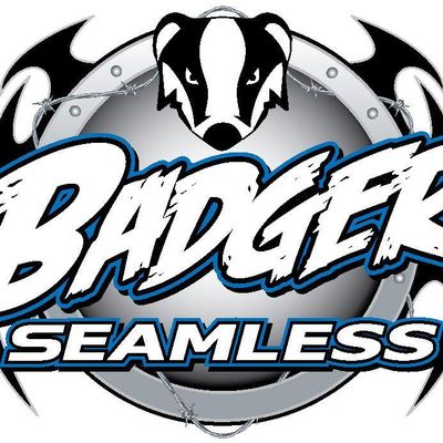 Avatar for Badger Seamless LLC