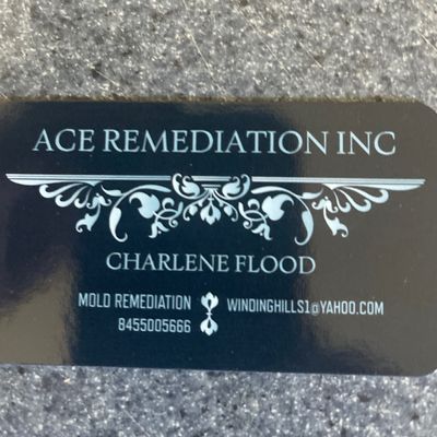 Avatar for Ace Remediation Inc