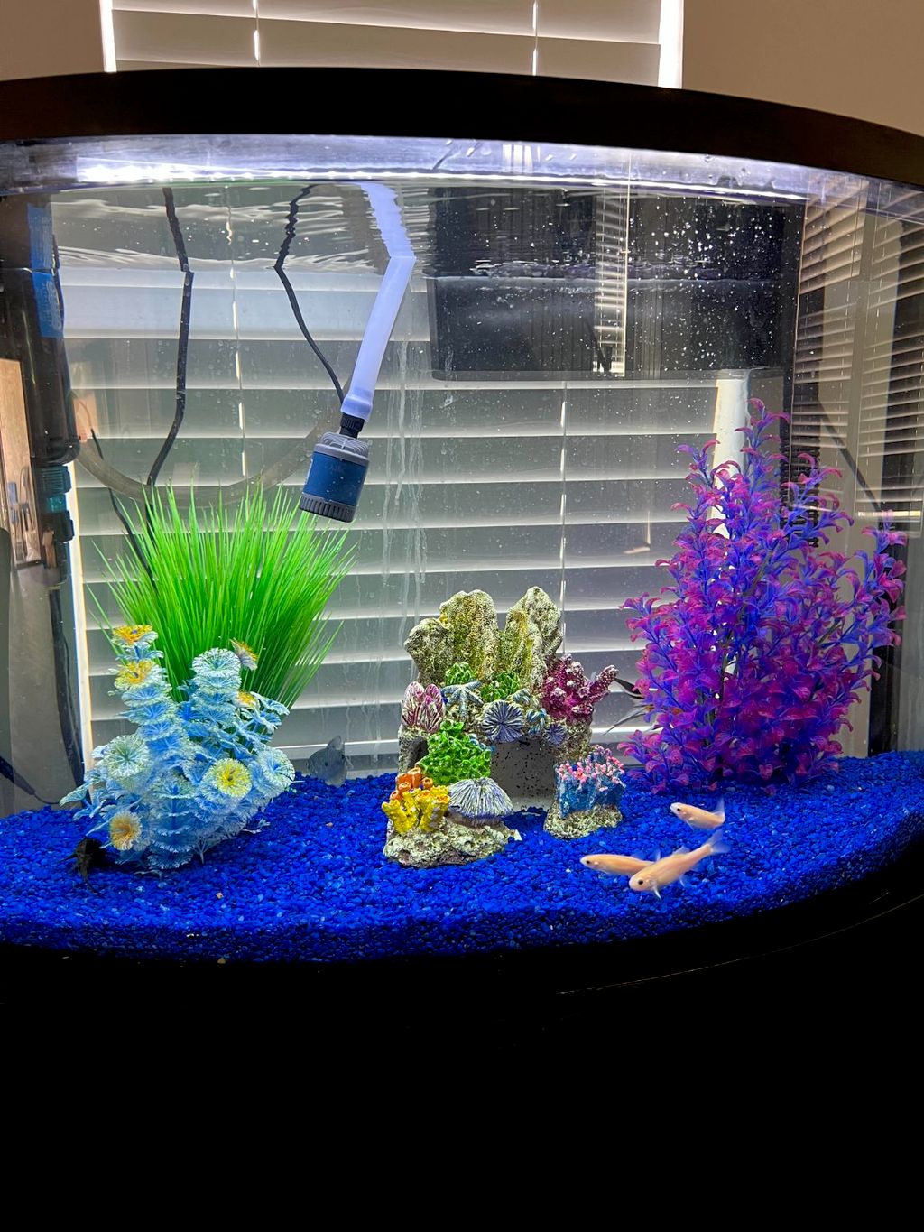 Customer photos
