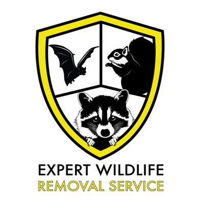 Avatar for Expert Wildlife Removal & Pest