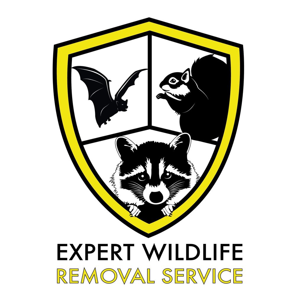 Expert Wildlife Removal & Pest