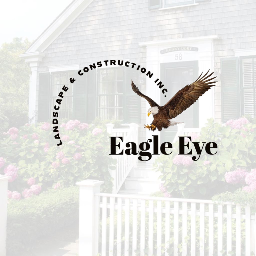 Eagle Eye