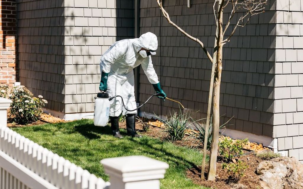 How much does an exterminator cost?