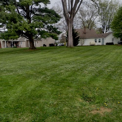 We are very happy with Kimroy Lawn Service! He did