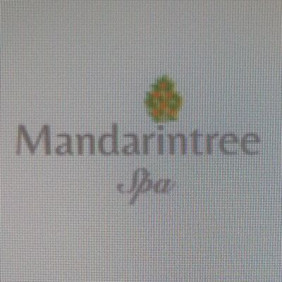 Avatar for Mandarin Tree Spa