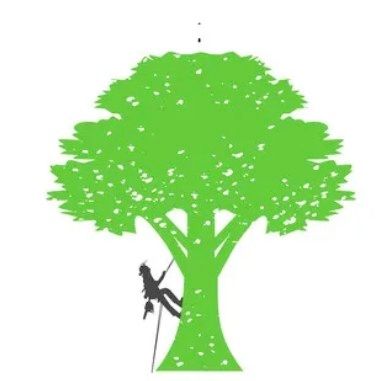 Friendly Touch Tree Service LLC