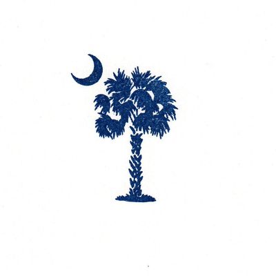 Avatar for Palmetto Cleaning Solutions