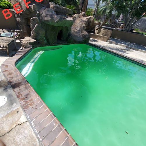Green Pool Treatments 