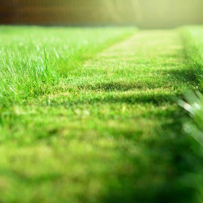 GreenRich Landscaping