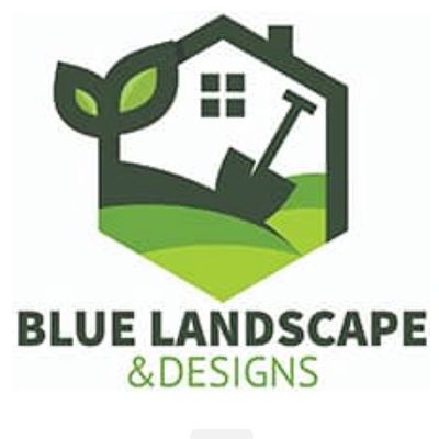 Avatar for Blue Landscape and  designs