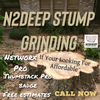 Avatar for N2deep Stump Grinding and Removal