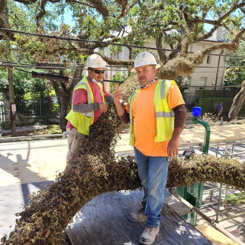 Sam's construction and bricks