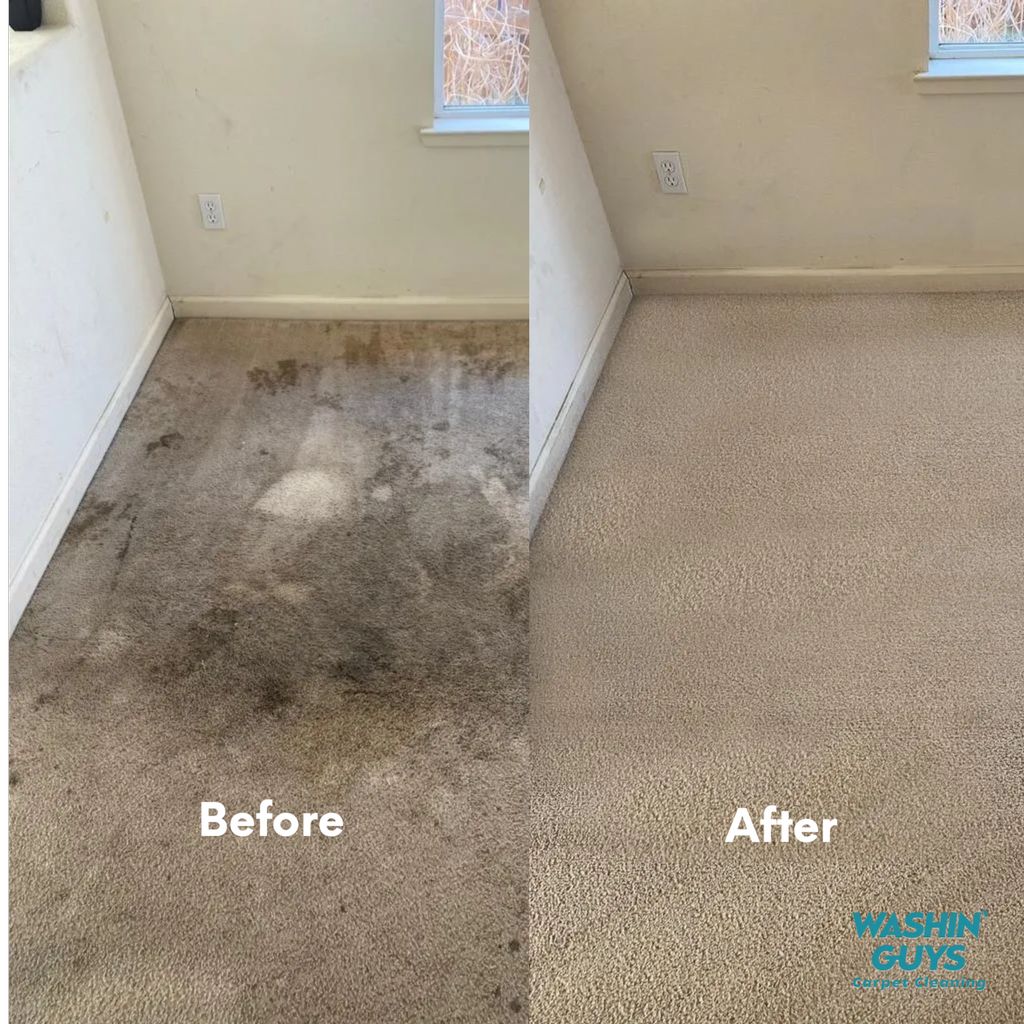 Carpet cleaning