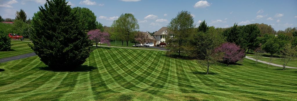 Lawn Mowing and Trimming