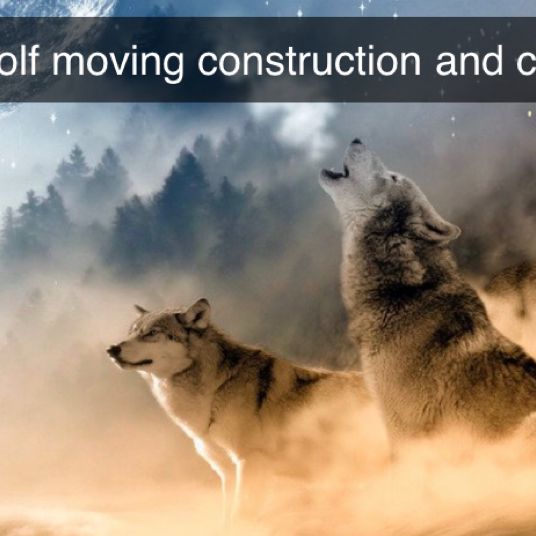 Gray Wolf moving /cleaning and construction