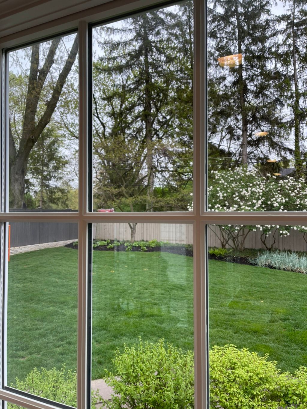 Window cleaning 