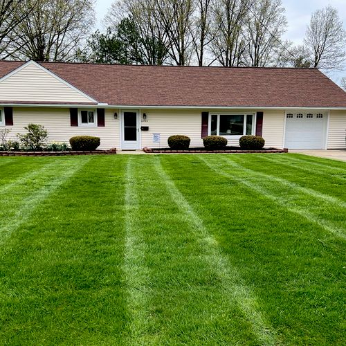 Lawn Mowing and Trimming