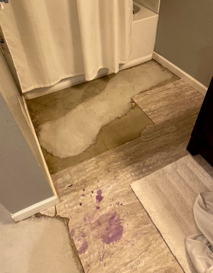 Customer photos