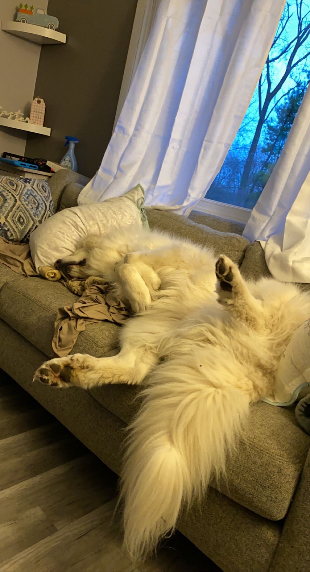 Keeps me company while I work! 