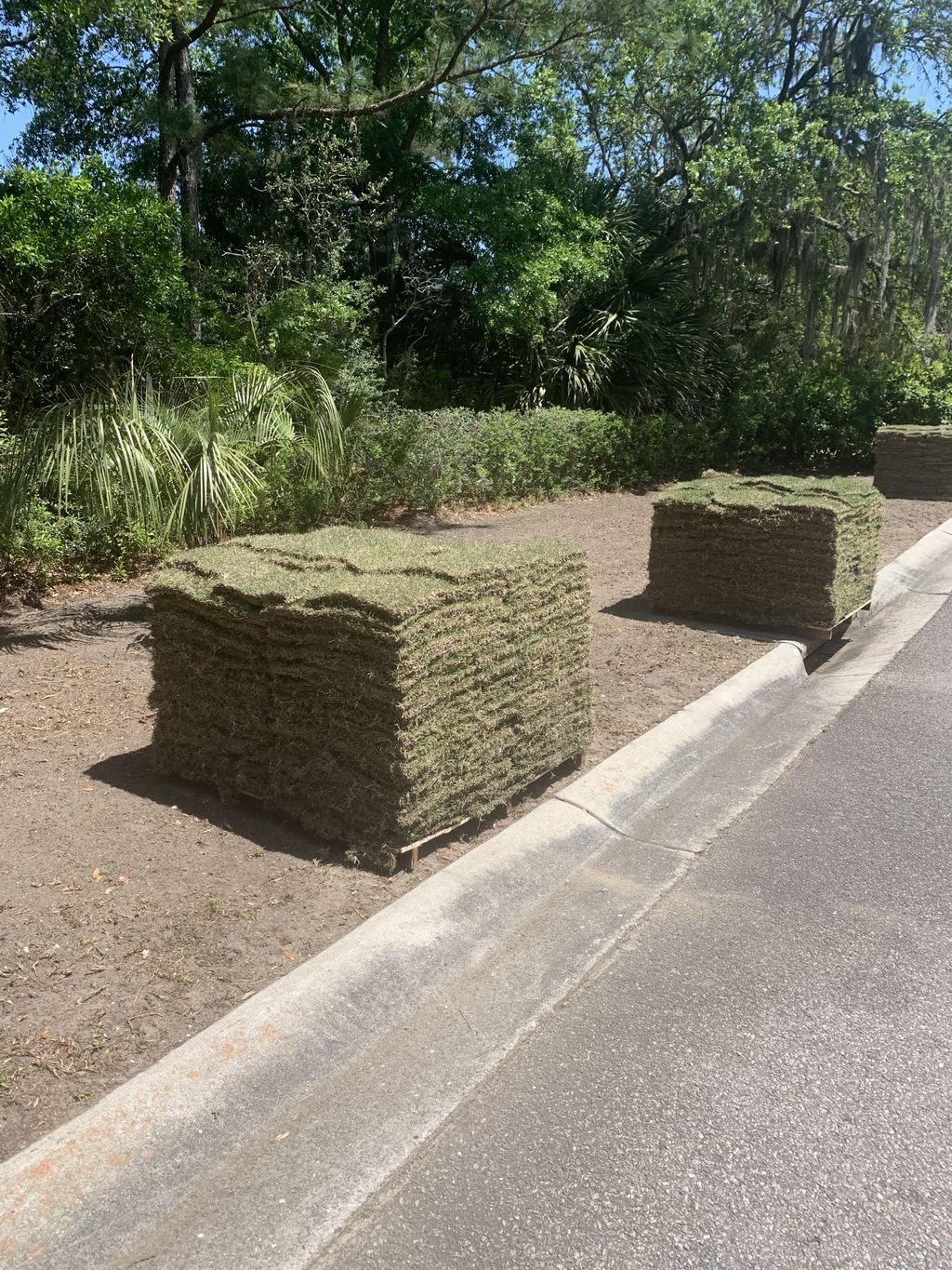 Sod Installation