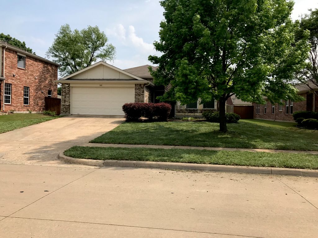 Sod Installation