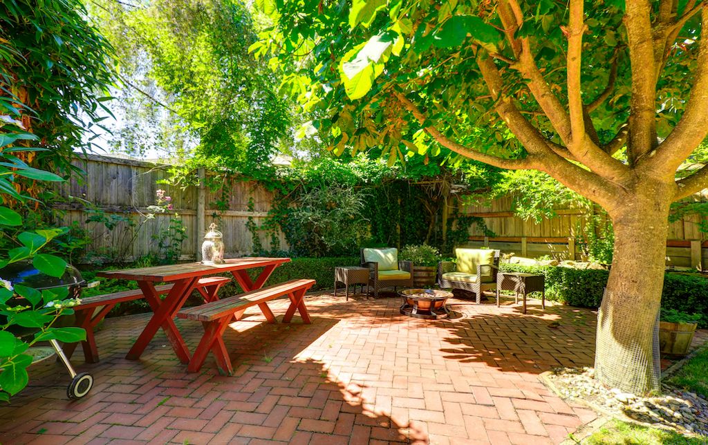 backyard shade trees