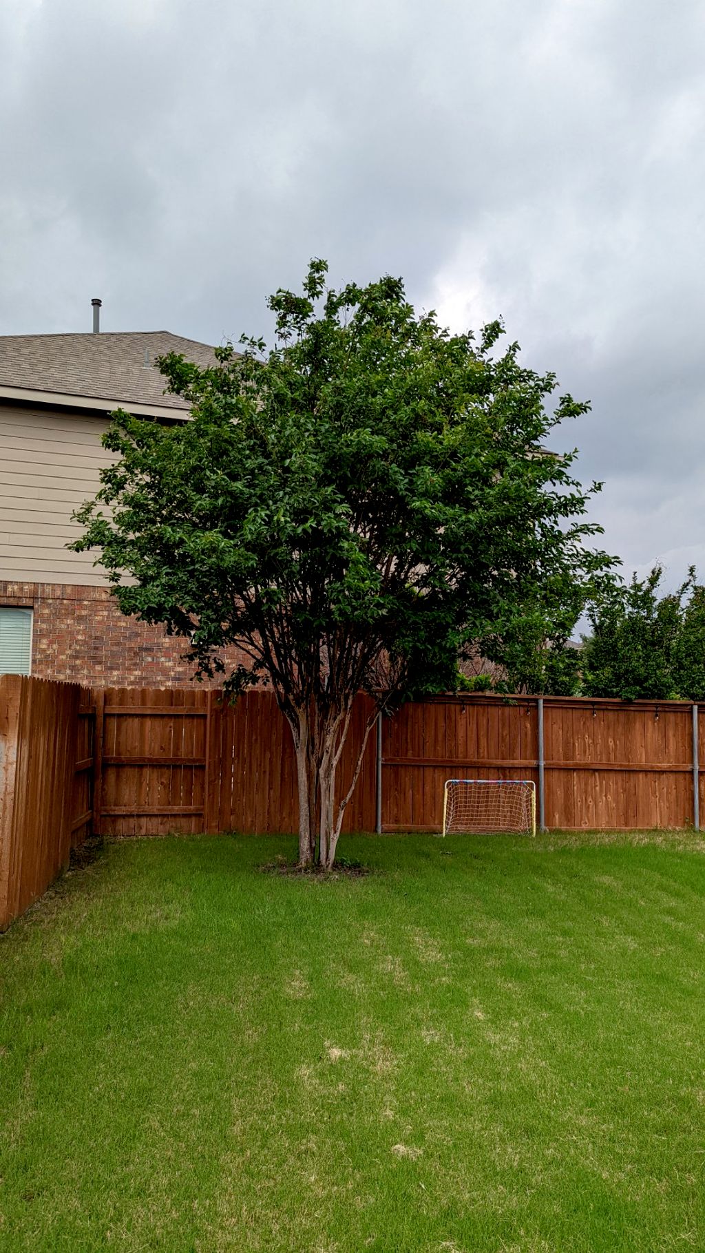 Tree Trimming and Removal