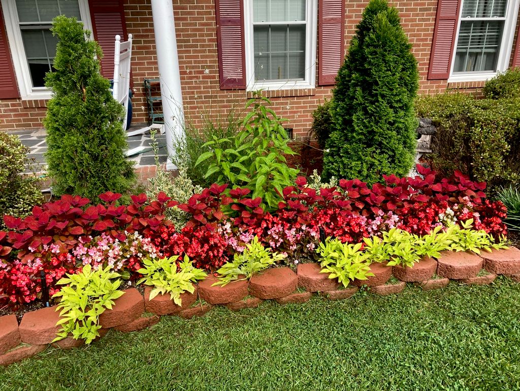 the time to put annual flowers is coming!!!!