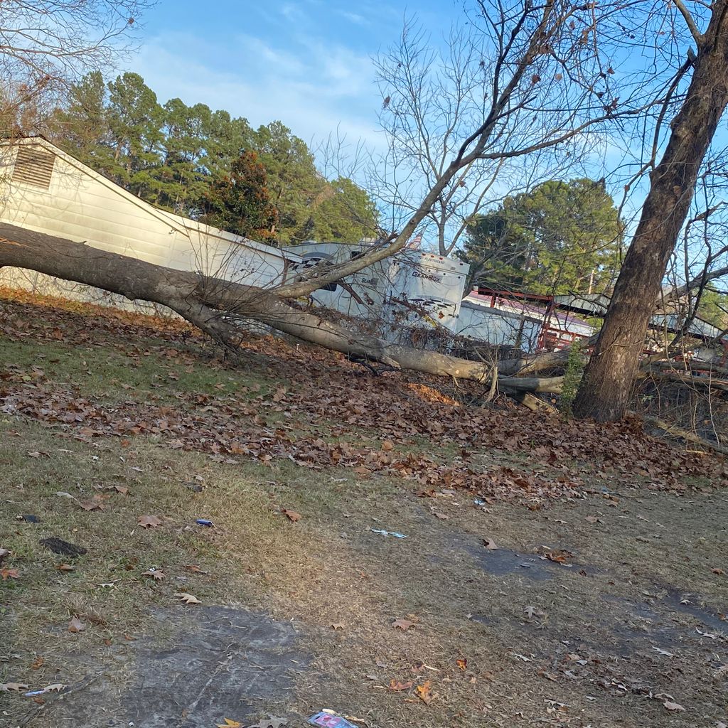 New heights tree trimming and removal