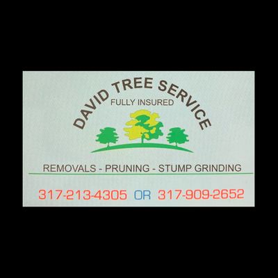 Avatar for David Tree Services, LLC