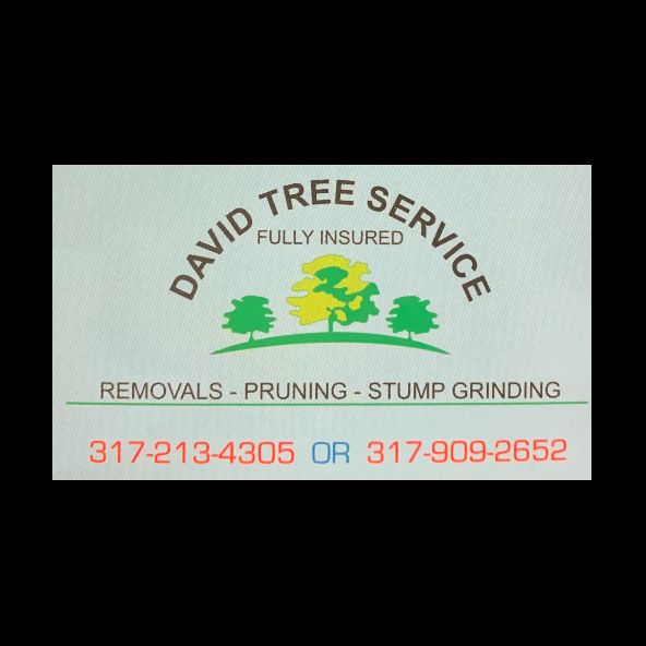 David Tree Services, LLC