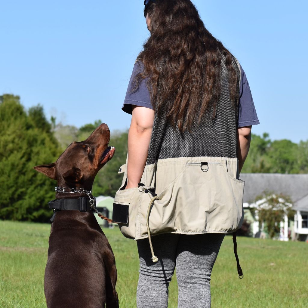 ReadySettGoDogTraining