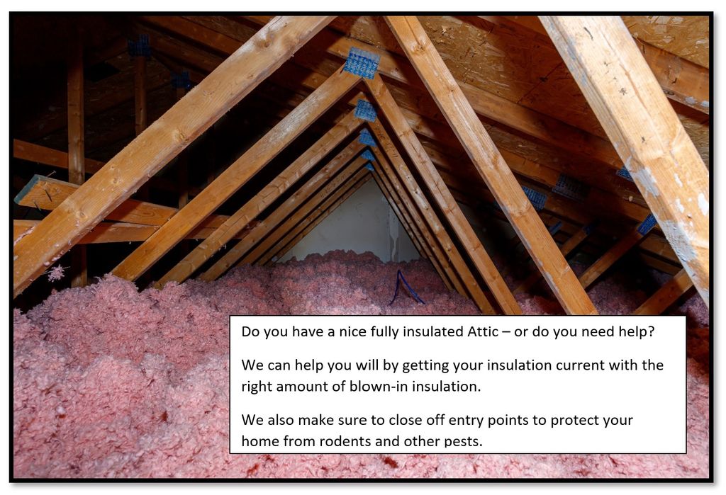 Attic & Crawlspace Cleanouts + Repairs + Insulatio