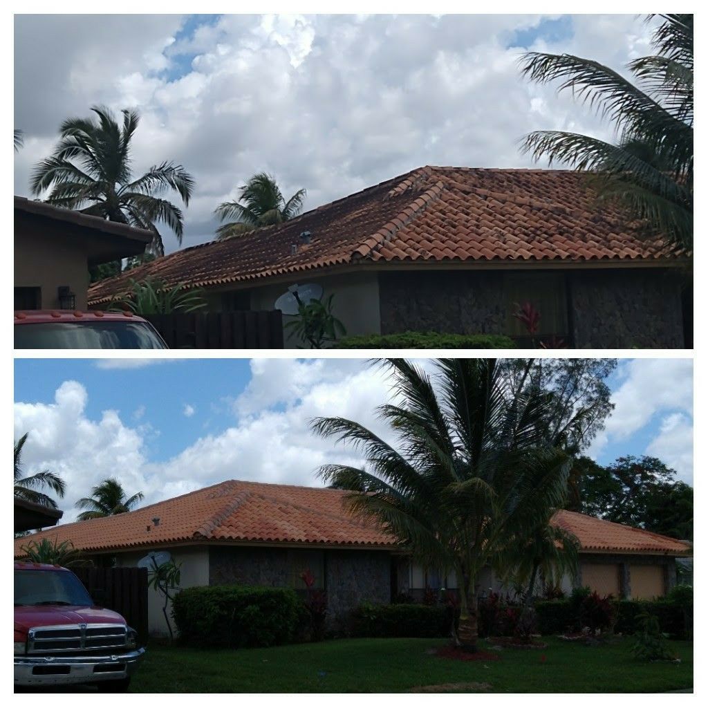 RG Roof Cleaning LLC